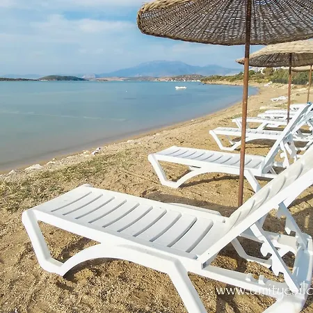 فيلة Seaside *